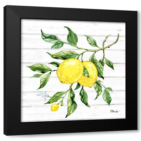 Sicilian Lemons II - Wood Black Modern Wood Framed Art Print by Brent, Paul