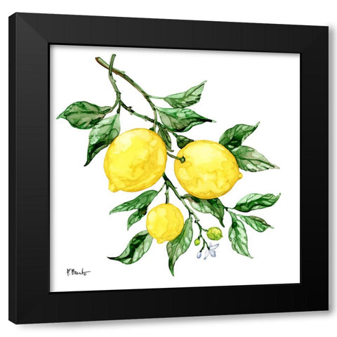 Sicilian Lemons III Black Modern Wood Framed Art Print by Brent, Paul