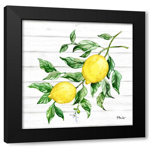 Sicilian Lemons IV - Wood Black Modern Wood Framed Art Print by Brent, Paul