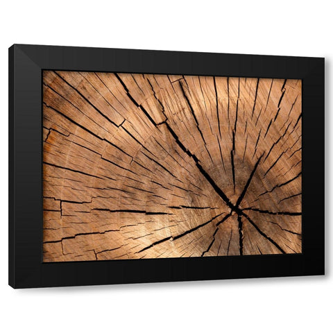 Abstract 4 Black Modern Wood Framed Art Print with Double Matting by Lee, Rachel