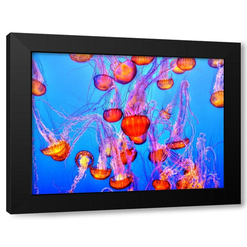 Abstract 7 Black Modern Wood Framed Art Print by Lee, Rachel