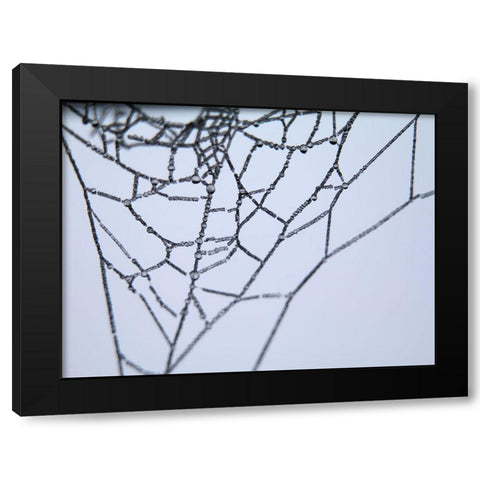 Abstract 9 Black Modern Wood Framed Art Print with Double Matting by Lee, Rachel