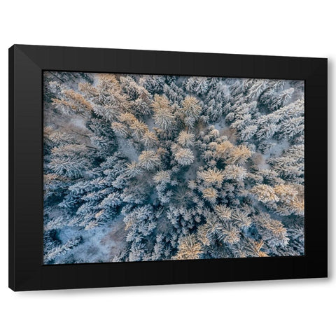 Aerial 11 Black Modern Wood Framed Art Print with Double Matting by Lee, Rachel