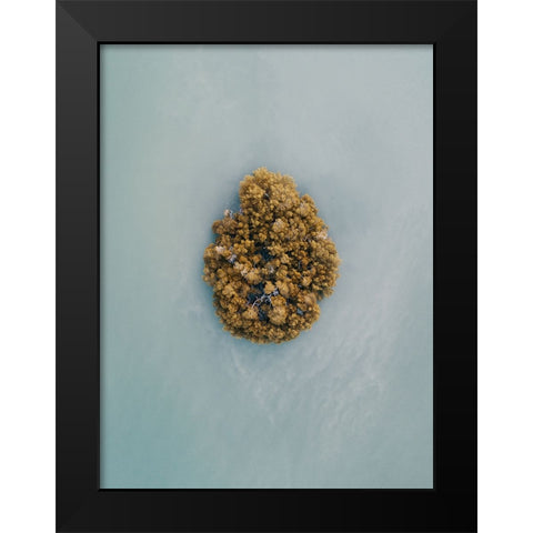 Aerial 13 Black Modern Wood Framed Art Print by Lee, Rachel