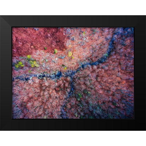 Aerial 2 Black Modern Wood Framed Art Print by Lee, Rachel