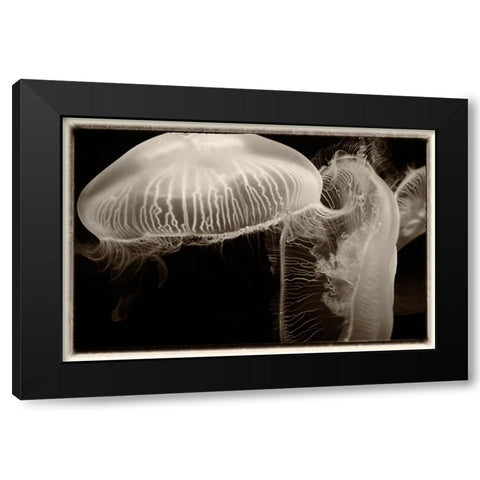 Antique Jellies 2 Black Modern Wood Framed Art Print with Double Matting by Lee, Rachel