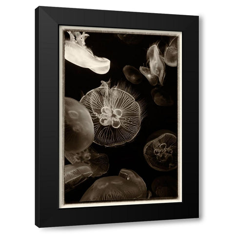 Antique Jellies 4 Black Modern Wood Framed Art Print with Double Matting by Lee, Rachel