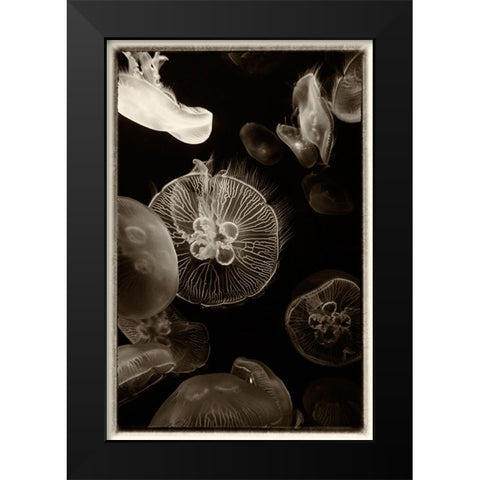 Antique Jellies 4 Black Modern Wood Framed Art Print by Lee, Rachel