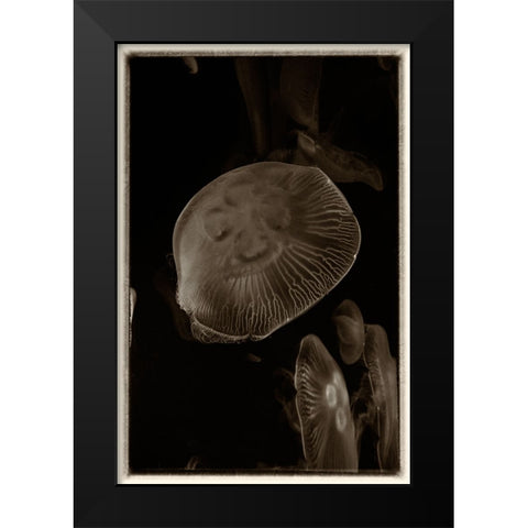 Antique Jellies 5 Black Modern Wood Framed Art Print by Lee, Rachel
