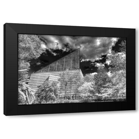 Aquarium 2 HDR BW Black Modern Wood Framed Art Print by Lee, Rachel