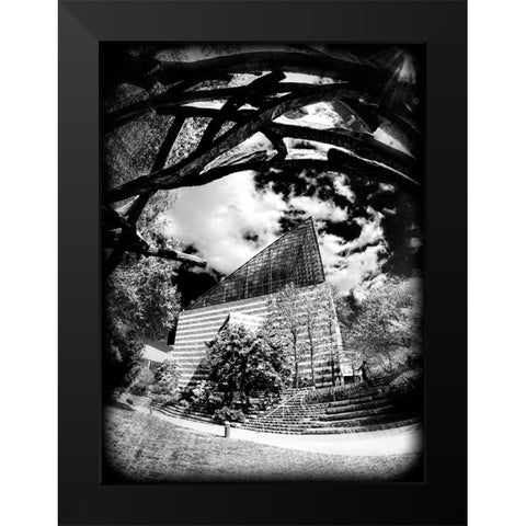 Aquarium Sun BW Holga Black Modern Wood Framed Art Print by Lee, Rachel