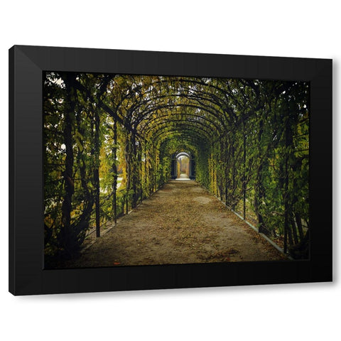 Architectural 3 Black Modern Wood Framed Art Print by Lee, Rachel