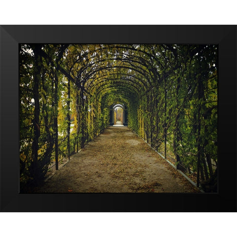 Architectural 3 Black Modern Wood Framed Art Print by Lee, Rachel
