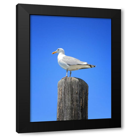 Beach 27 Black Modern Wood Framed Art Print by Lee, Rachel