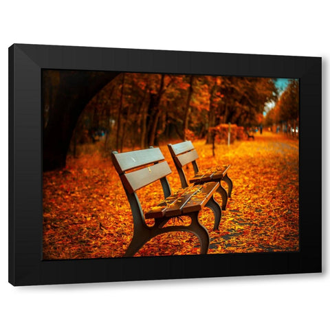 Bench 1 Black Modern Wood Framed Art Print with Double Matting by Lee, Rachel