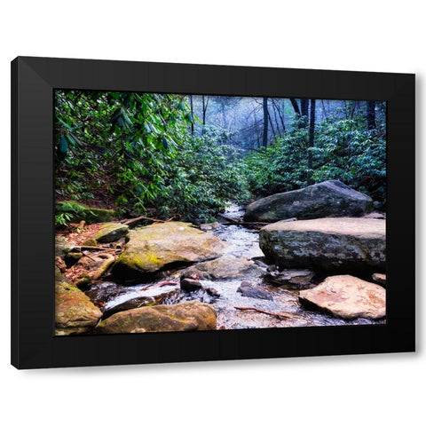 Benton Falls 2 Black Modern Wood Framed Art Print by Lee, Rachel