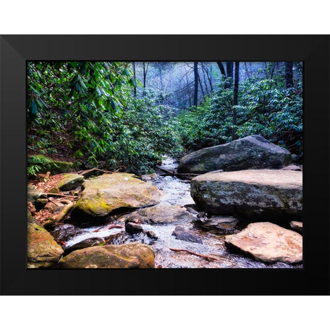 Benton Falls 2 Black Modern Wood Framed Art Print by Lee, Rachel
