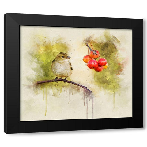 Bird 1 Watercolor Black Modern Wood Framed Art Print with Double Matting by Lee, Rachel