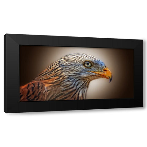Bird 11 Black Modern Wood Framed Art Print by Lee, Rachel