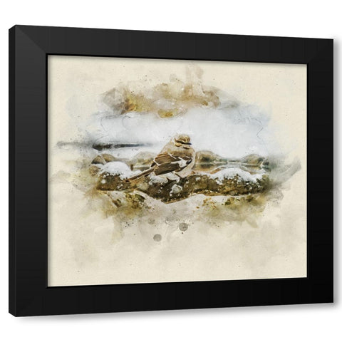 Bird 12 Watercolor Black Modern Wood Framed Art Print with Double Matting by Lee, Rachel