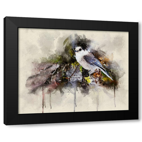 Bird 13 Watercolor Black Modern Wood Framed Art Print by Lee, Rachel