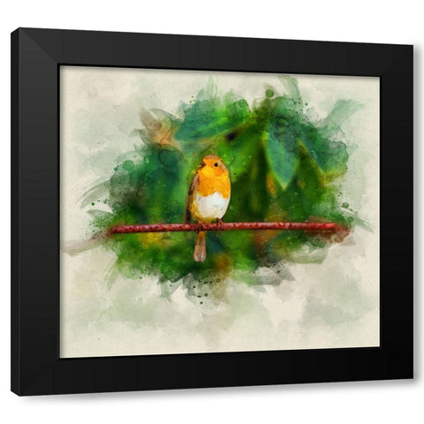 Bird 17 Watercolor Black Modern Wood Framed Art Print by Lee, Rachel
