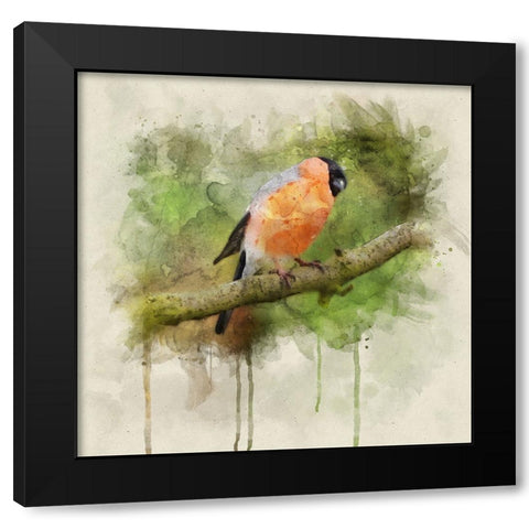 Bird 2 Watercolor Black Modern Wood Framed Art Print by Lee, Rachel