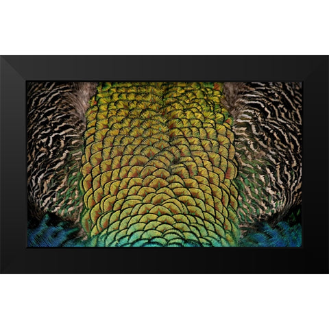 Bird 28 Black Modern Wood Framed Art Print by Lee, Rachel