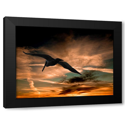 Bird 29 Black Modern Wood Framed Art Print by Lee, Rachel