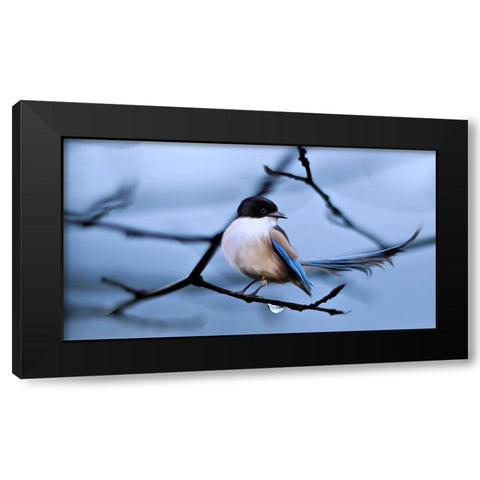 Bird 30 Black Modern Wood Framed Art Print with Double Matting by Lee, Rachel