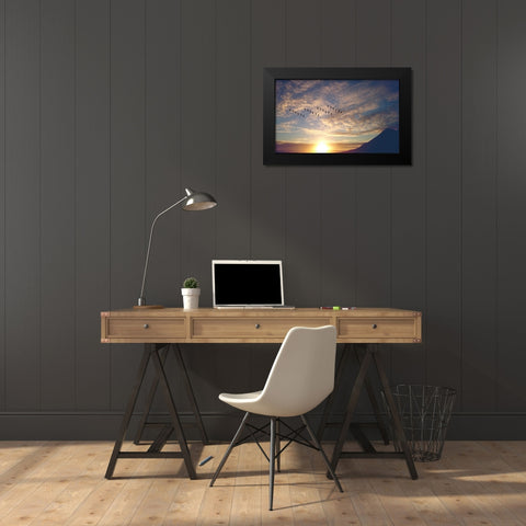 Bird 45 Black Modern Wood Framed Art Print by Lee, Rachel