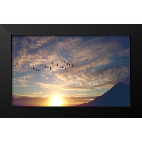 Bird 45 Black Modern Wood Framed Art Print by Lee, Rachel