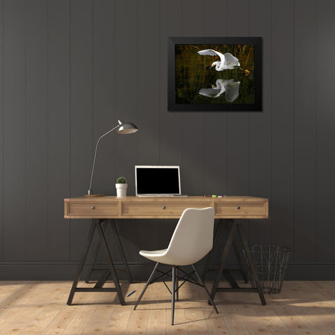 Bird 46 Black Modern Wood Framed Art Print by Lee, Rachel