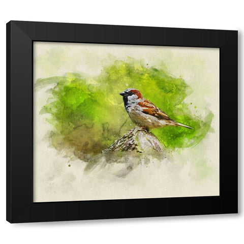 Bird 5 Watercolor Black Modern Wood Framed Art Print by Lee, Rachel