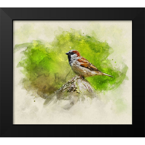 Bird 5 Watercolor Black Modern Wood Framed Art Print by Lee, Rachel