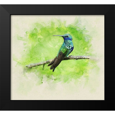 Bird 6 Watercolor Black Modern Wood Framed Art Print by Lee, Rachel