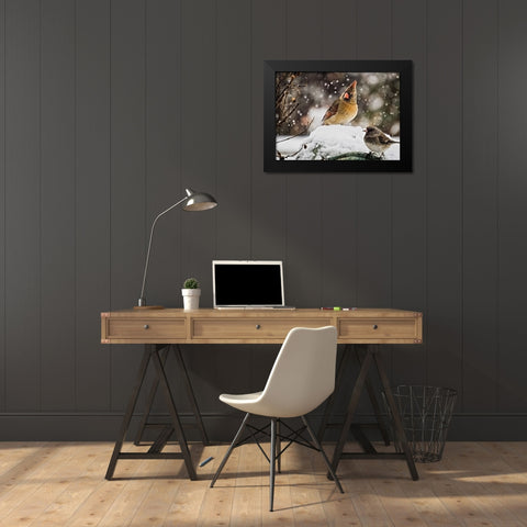 Bird 64 Black Modern Wood Framed Art Print by Lee, Rachel
