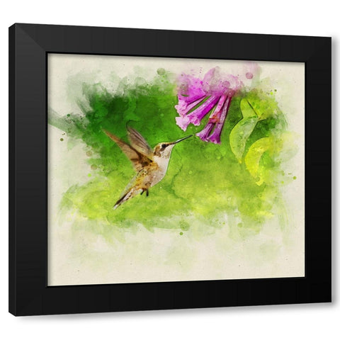 Bird 7 Watercolor Black Modern Wood Framed Art Print with Double Matting by Lee, Rachel