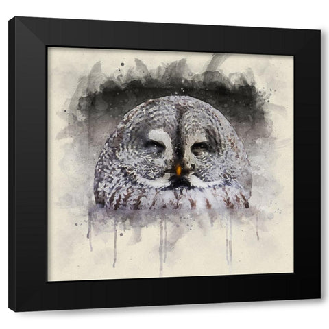 Bird 9 Watercolor Black Modern Wood Framed Art Print with Double Matting by Lee, Rachel