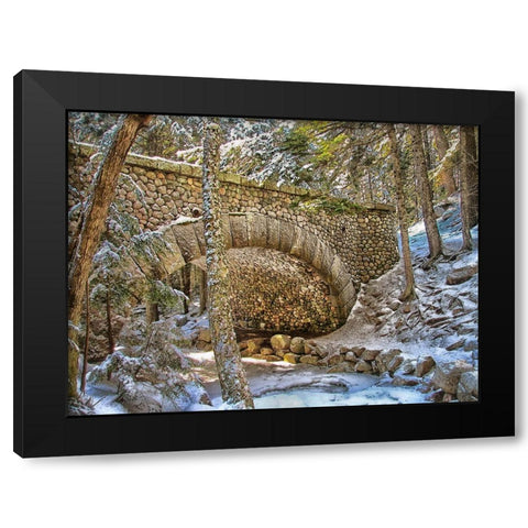 Bridge 1 Black Modern Wood Framed Art Print by Lee, Rachel