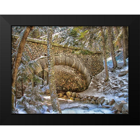 Bridge 1 Black Modern Wood Framed Art Print by Lee, Rachel