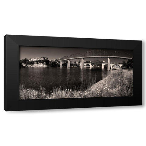 Bridge Poppies Sepia Black Modern Wood Framed Art Print with Double Matting by Lee, Rachel
