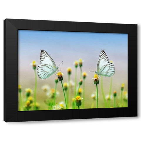 Butterfly 10 Black Modern Wood Framed Art Print with Double Matting by Lee, Rachel