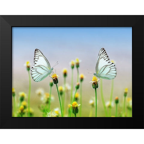 Butterfly 10 Black Modern Wood Framed Art Print by Lee, Rachel