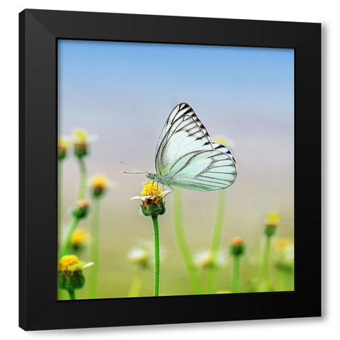 Butterfly 10 Dyptych Panel 2 Black Modern Wood Framed Art Print with Double Matting by Lee, Rachel