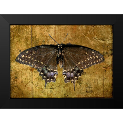 Butterfly 2 Black Modern Wood Framed Art Print by Lee, Rachel