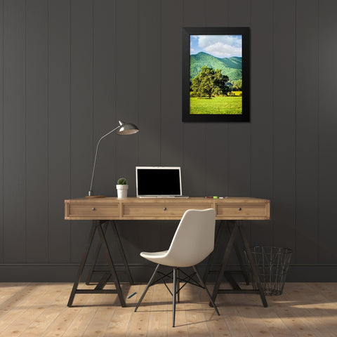 Cades Cove Tree Black Modern Wood Framed Art Print by Lee, Rachel