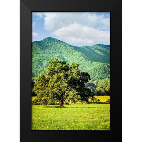 Cades Cove Tree Black Modern Wood Framed Art Print by Lee, Rachel