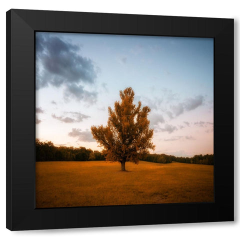 Chickamauga 15 Black Modern Wood Framed Art Print by Lee, Rachel