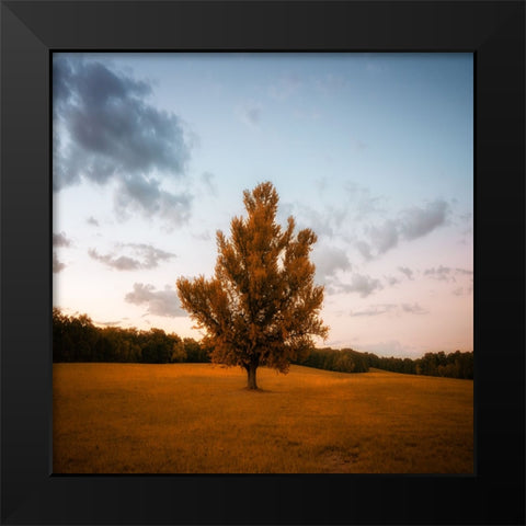 Chickamauga 15 Black Modern Wood Framed Art Print by Lee, Rachel